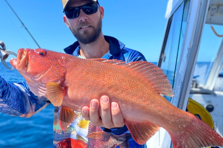 a man holding a fish in the water