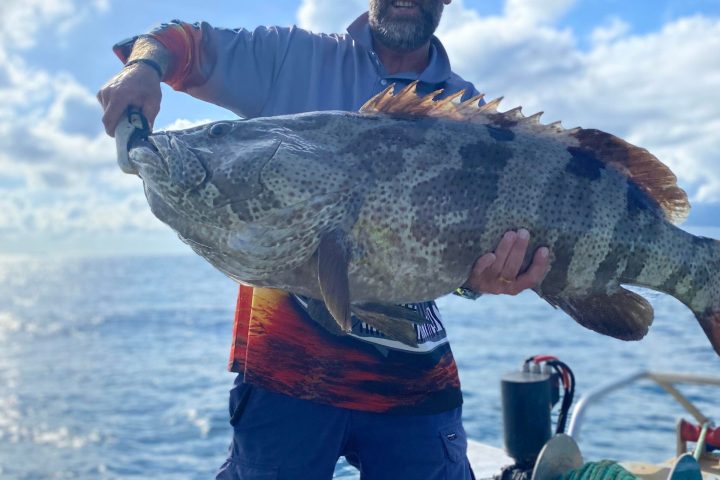 a man holding a fish in the water