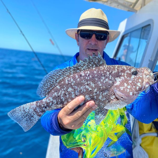 a person holding a fish in the water