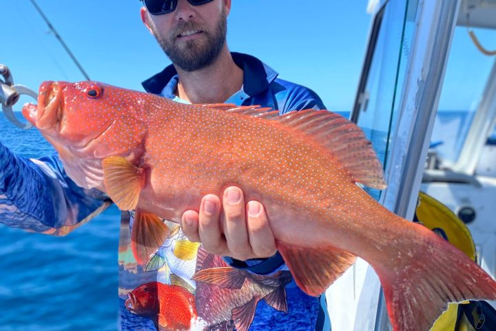 a man holding a fish