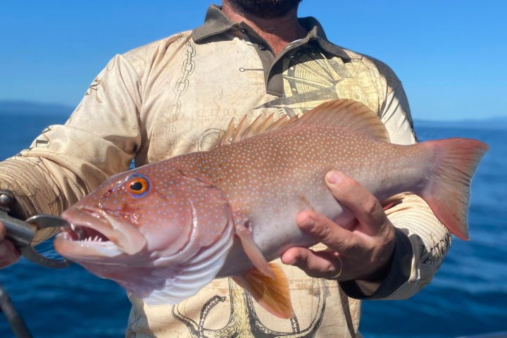 a man holding a fish